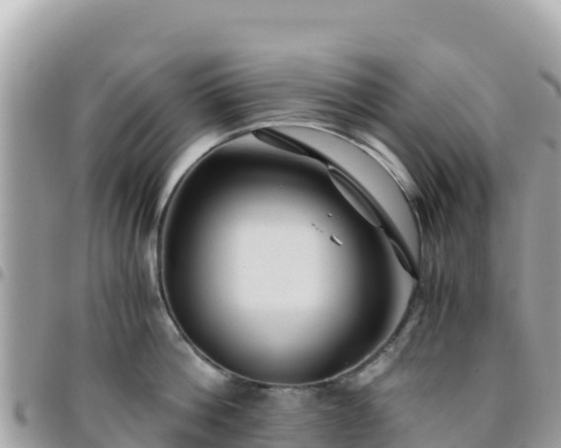 X0000096220812200801251055