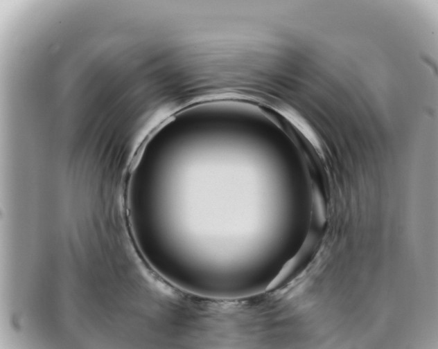 X0000096220813200801251055