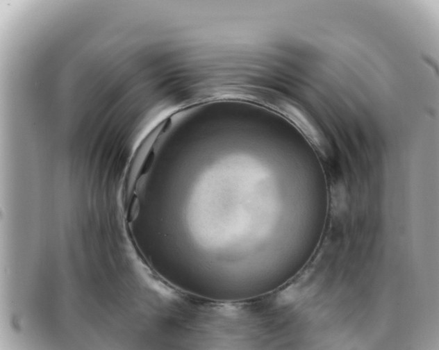 X0000096220814200801251055