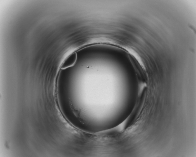 X0000096220815200801251055