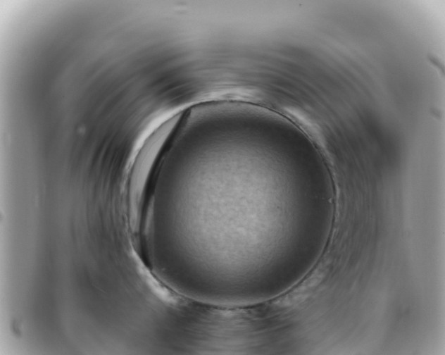 X0000096220816200801251055