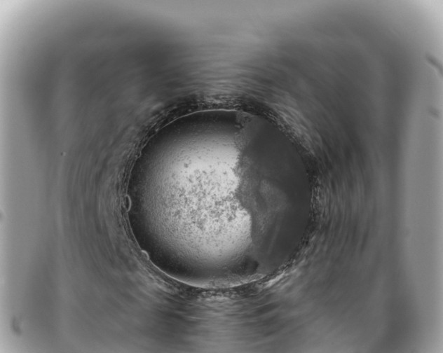 X0000096220817200801251054