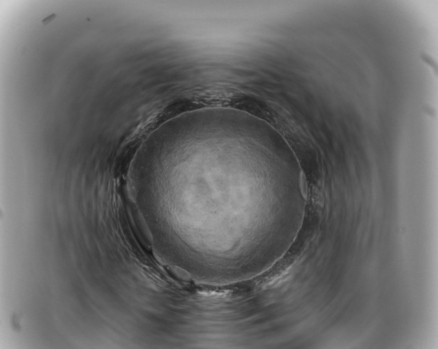 X0000096220818200801251054