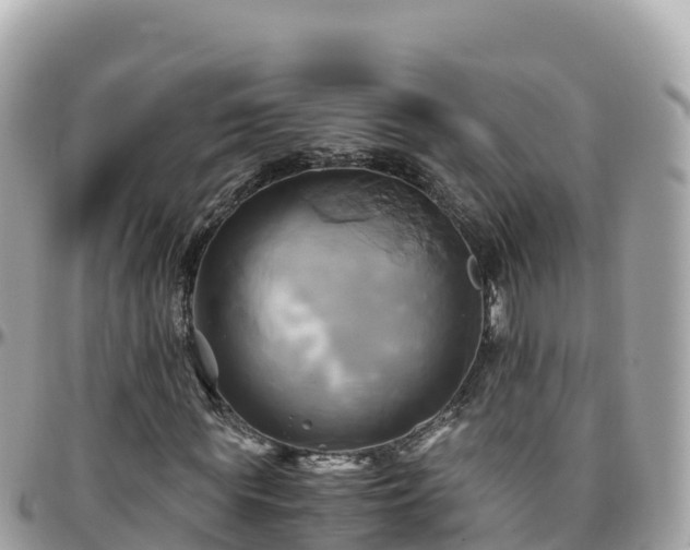 X0000096220819200801251054