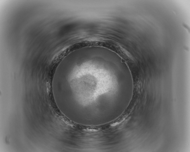 X0000096220821200801251054