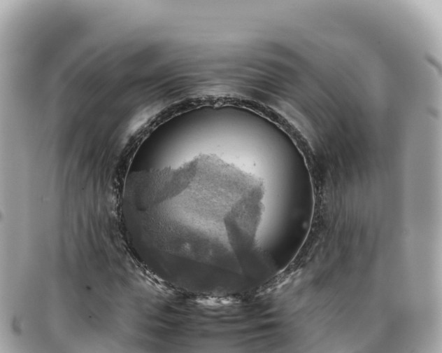 X0000096220823200801251054