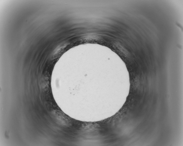 X0000096220824200801251055