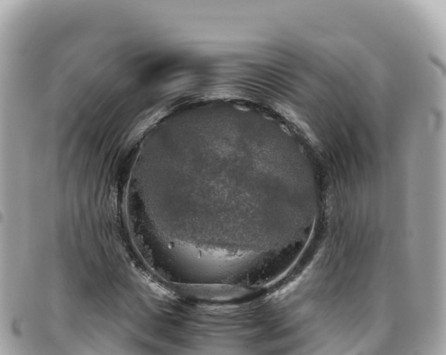 X0000096220825200801251055