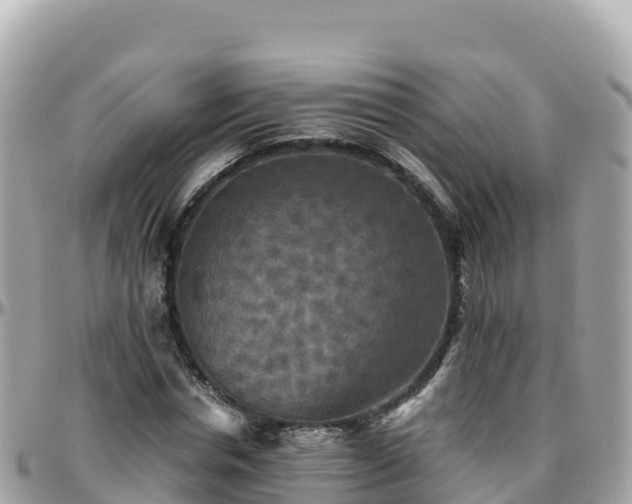 X0000096220826200801251055