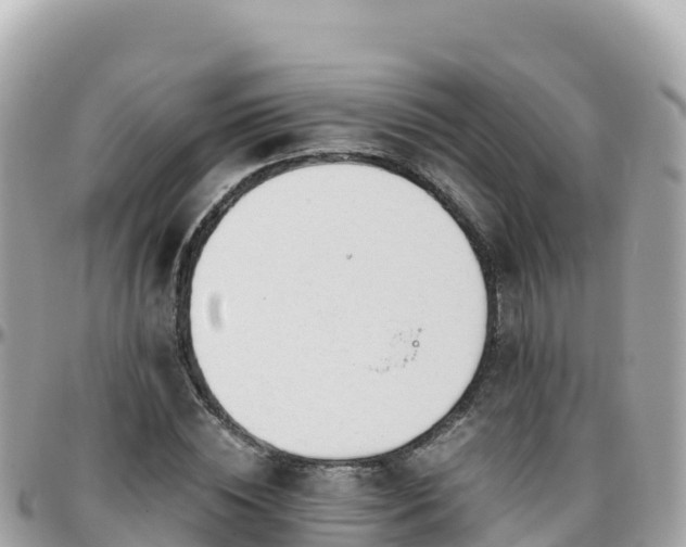 X0000096220828200801251055