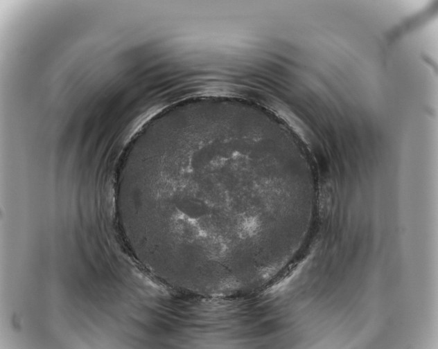 X0000096220829200801251055