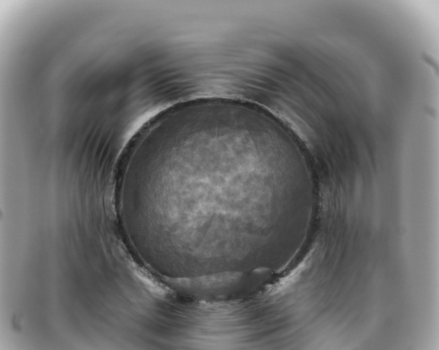 X0000096220830200801251055