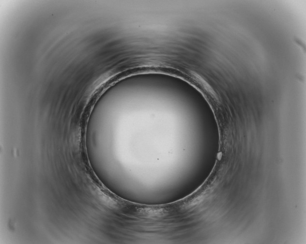 X0000096220831200801251055