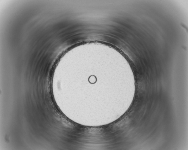 X0000096220832200801251055