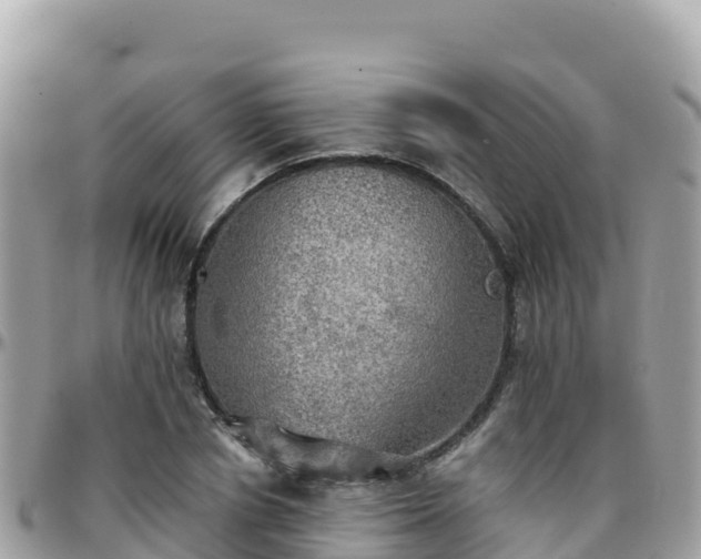 X0000096220834200801251055