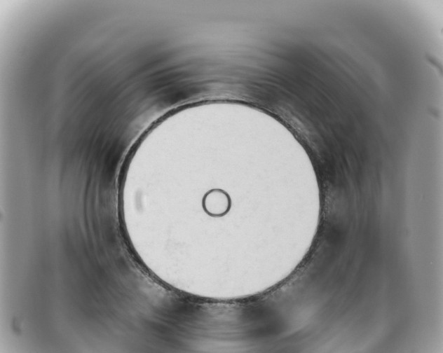 X0000096220836200801251055