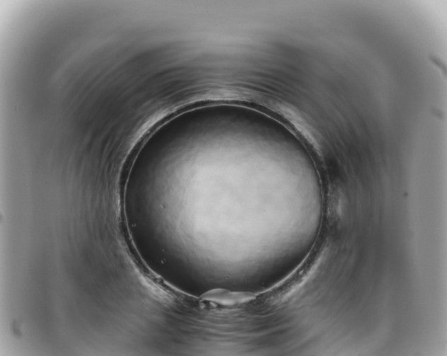 X0000096220837200801251055