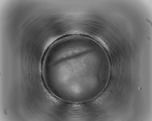 X0000096220839200801251055