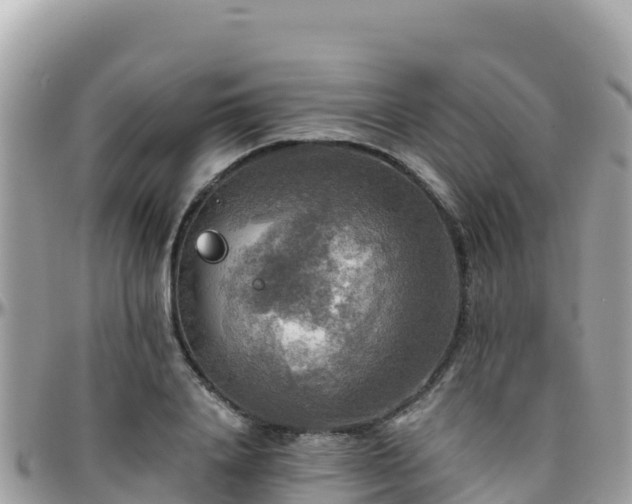 X0000096220840200801251055