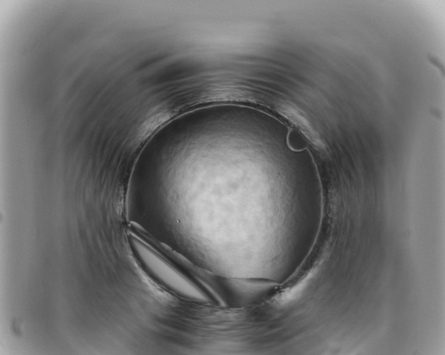 X0000096220841200801251055