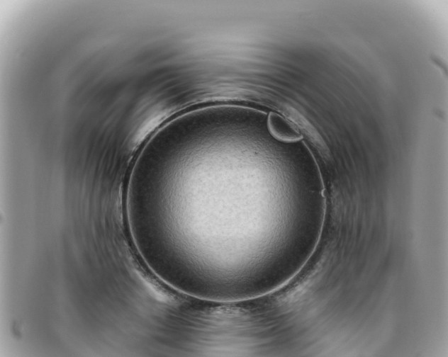 X0000096220842200801251055