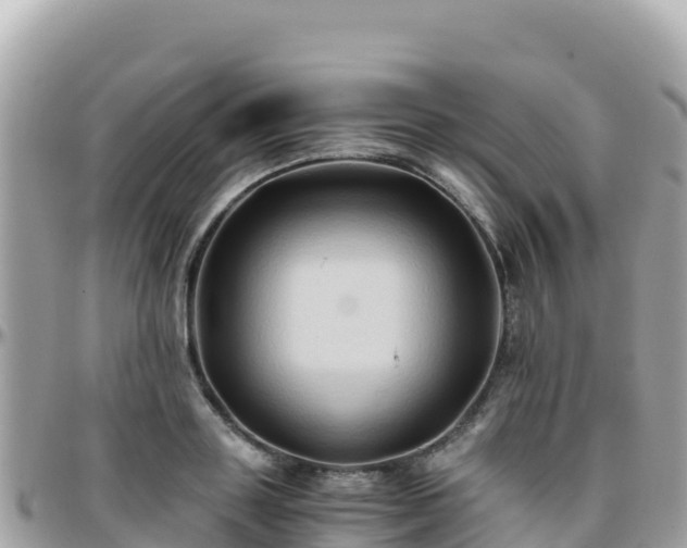 X0000096220843200801251055