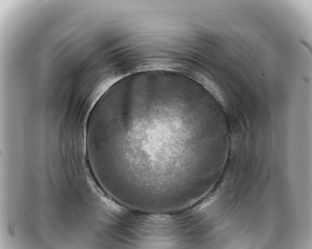 X0000096220844200801251055