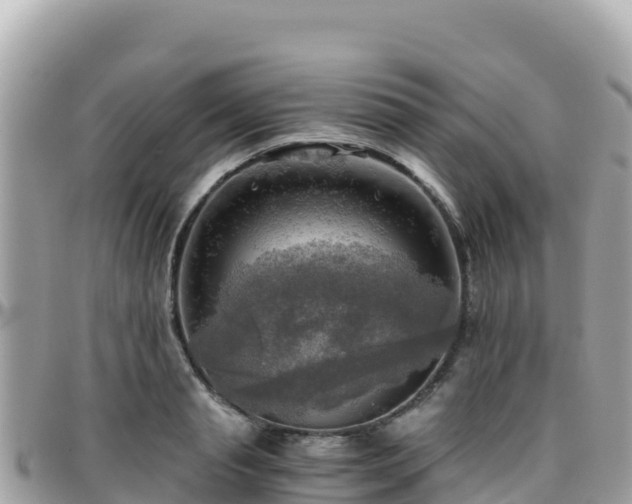 X0000096220845200801251055