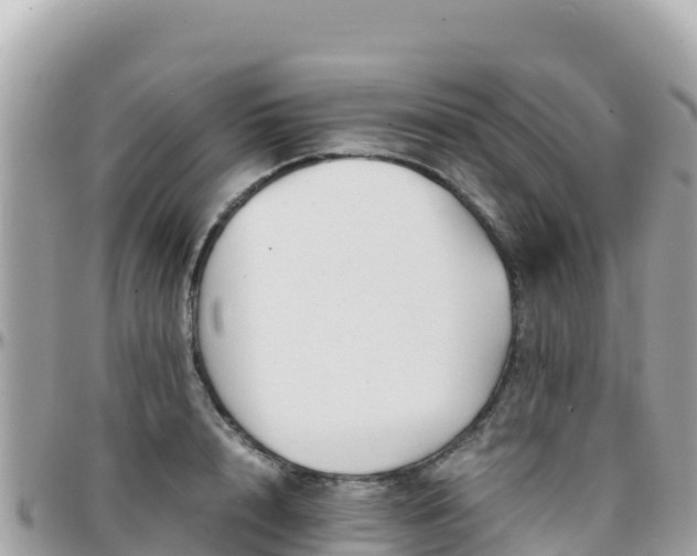 X0000096220848200801251055