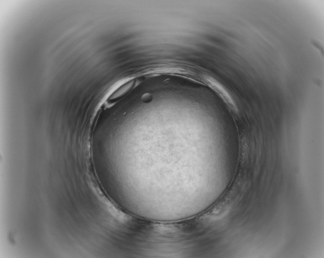 X0000096220852200801251055