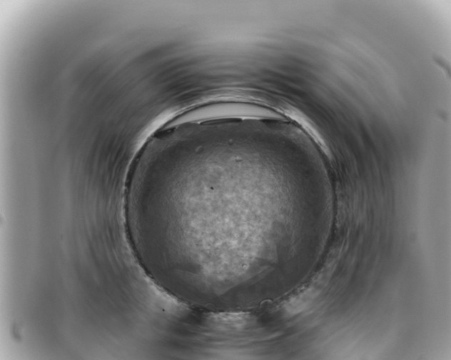 X0000096220853200801251055