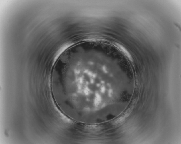 X0000096220855200801251055