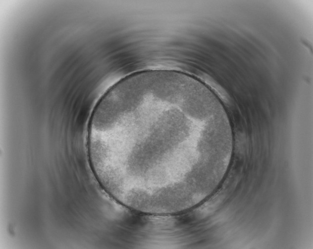 X0000096220856200801251055