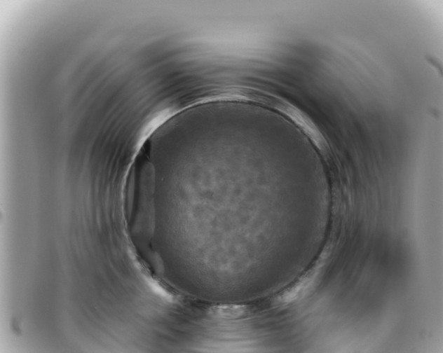 X0000096220858200801251055