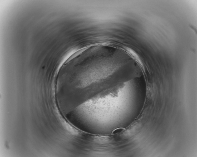 X0000096220859200801251055