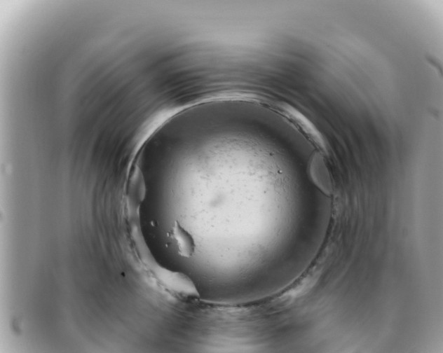 X0000096220860200801251055