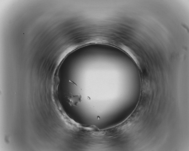 X0000096220861200801251055