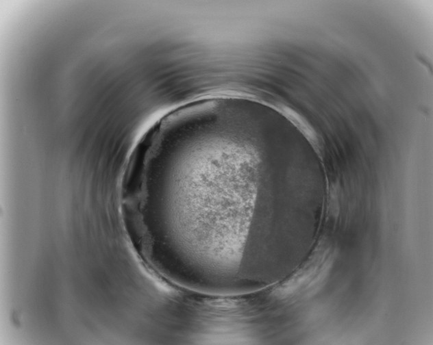 X0000096220862200801251055