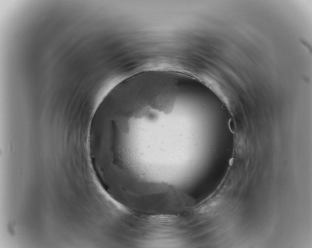 X0000096220863200801251055