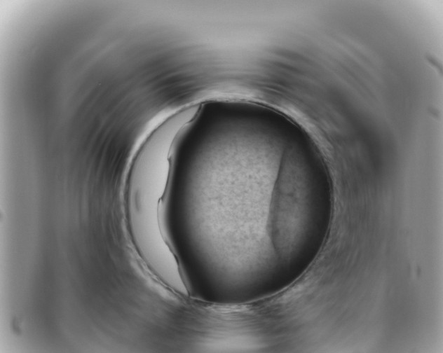 X0000096220864200801251055