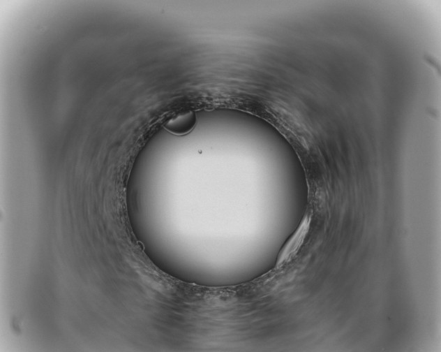 X0000096220865200801251054