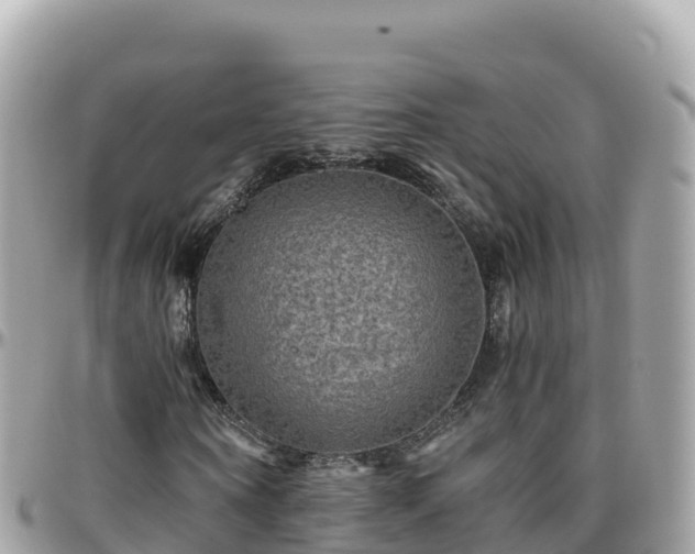 X0000096220866200801251054