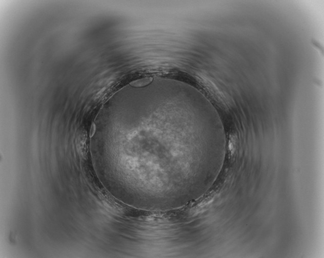 X0000096220867200801251054