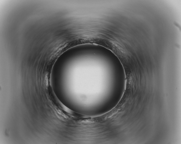 X0000096220868200801251054