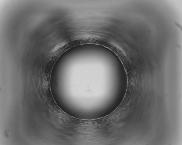 X0000096220869200801251054