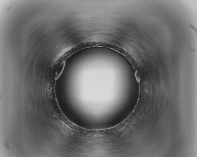 X0000096220872200801251054