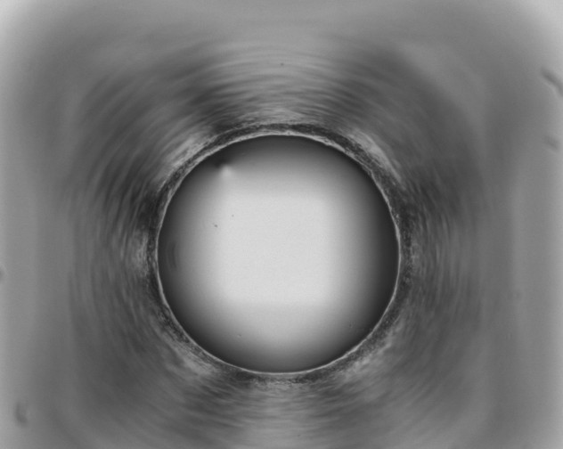 X0000096220873200801251054