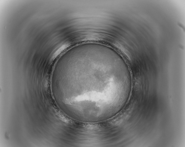 X0000096220874200801251054