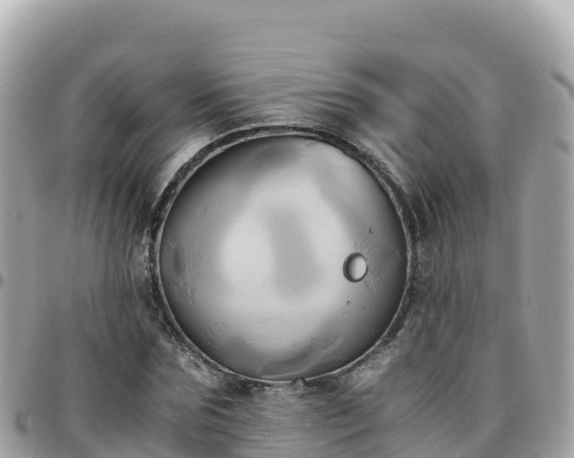 X0000096220875200801251054