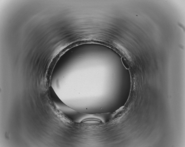 X0000096220876200801251054